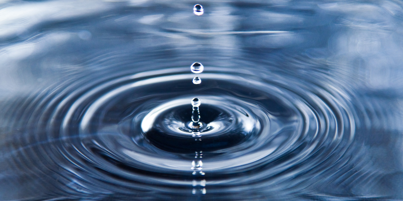 Understanding the Ripple Effect of Charitable Donations